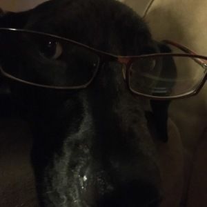 Meet your Posher, Bkcrowell1